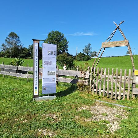 Fewo Allgaeuerle1605 Mit Hallenbad, Sauna, Tiefgarage Und Wlan Missen-Wilhams Esterno foto