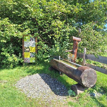 Fewo Allgaeuerle1605 Mit Hallenbad, Sauna, Tiefgarage Und Wlan Missen-Wilhams Esterno foto