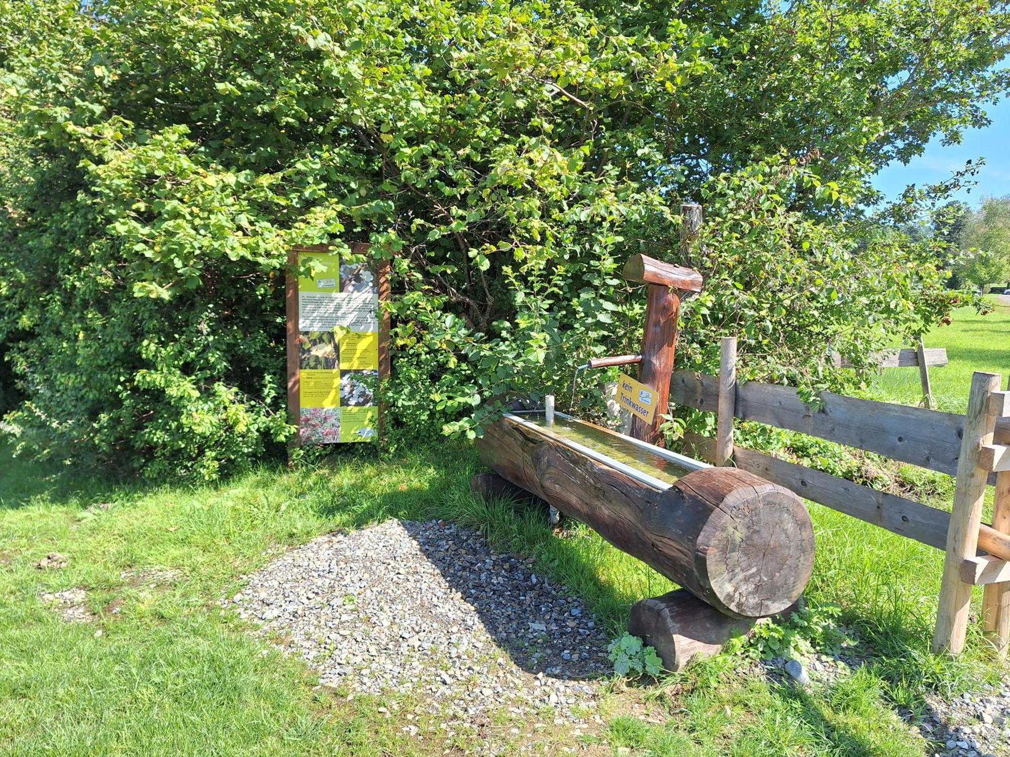 Fewo Allgaeuerle1605 Mit Hallenbad, Sauna, Tiefgarage Und Wlan Missen-Wilhams Esterno foto