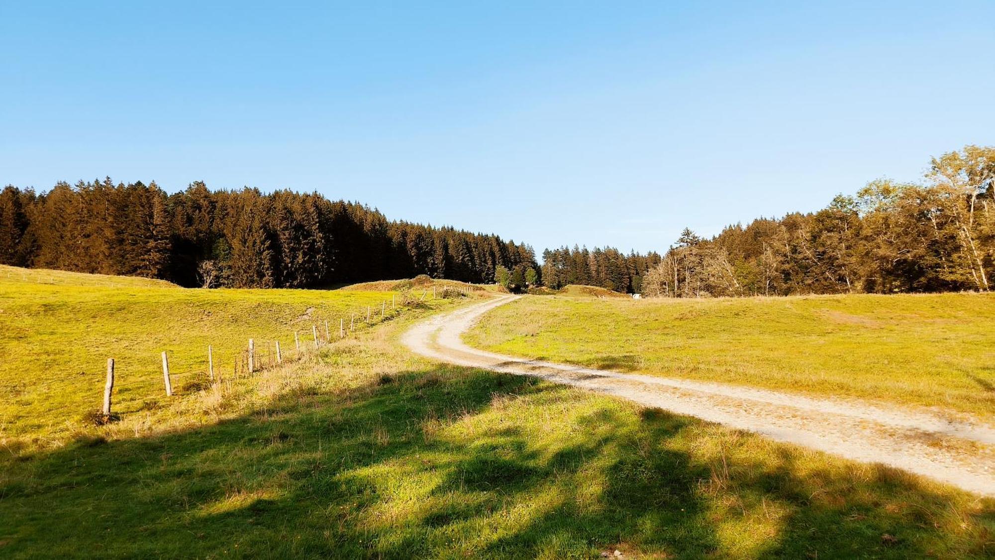 Fewo Allgaeuerle1605 Mit Hallenbad, Sauna, Tiefgarage Und Wlan Missen-Wilhams Esterno foto