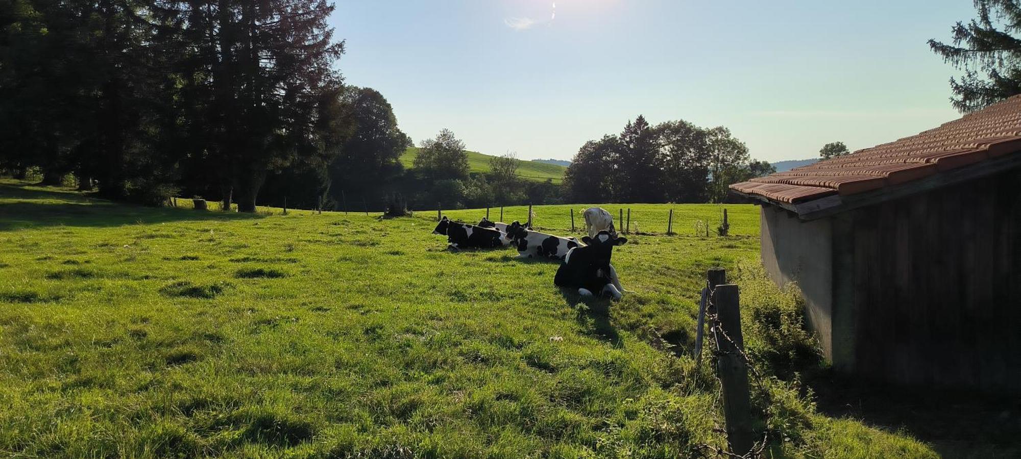 Fewo Allgaeuerle1605 Mit Hallenbad, Sauna, Tiefgarage Und Wlan Missen-Wilhams Esterno foto