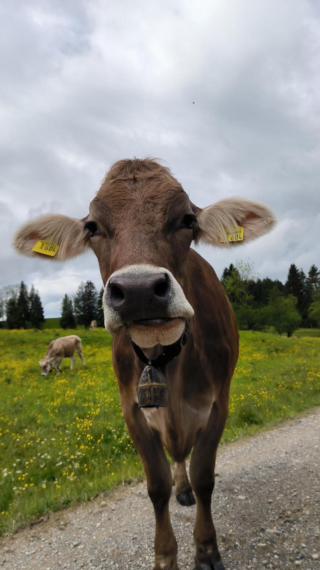 Fewo Allgaeuerle1605 Mit Hallenbad, Sauna, Tiefgarage Und Wlan Missen-Wilhams Esterno foto
